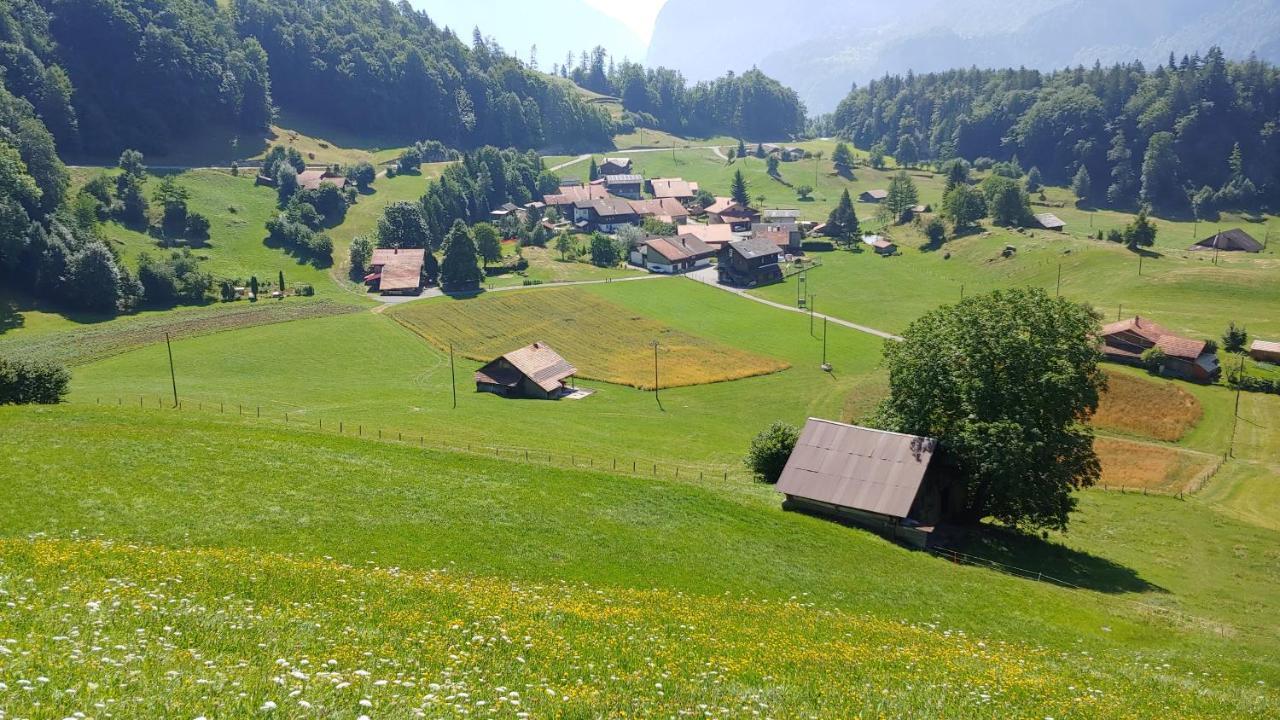 Chalet Bruenig 迈林根 外观 照片