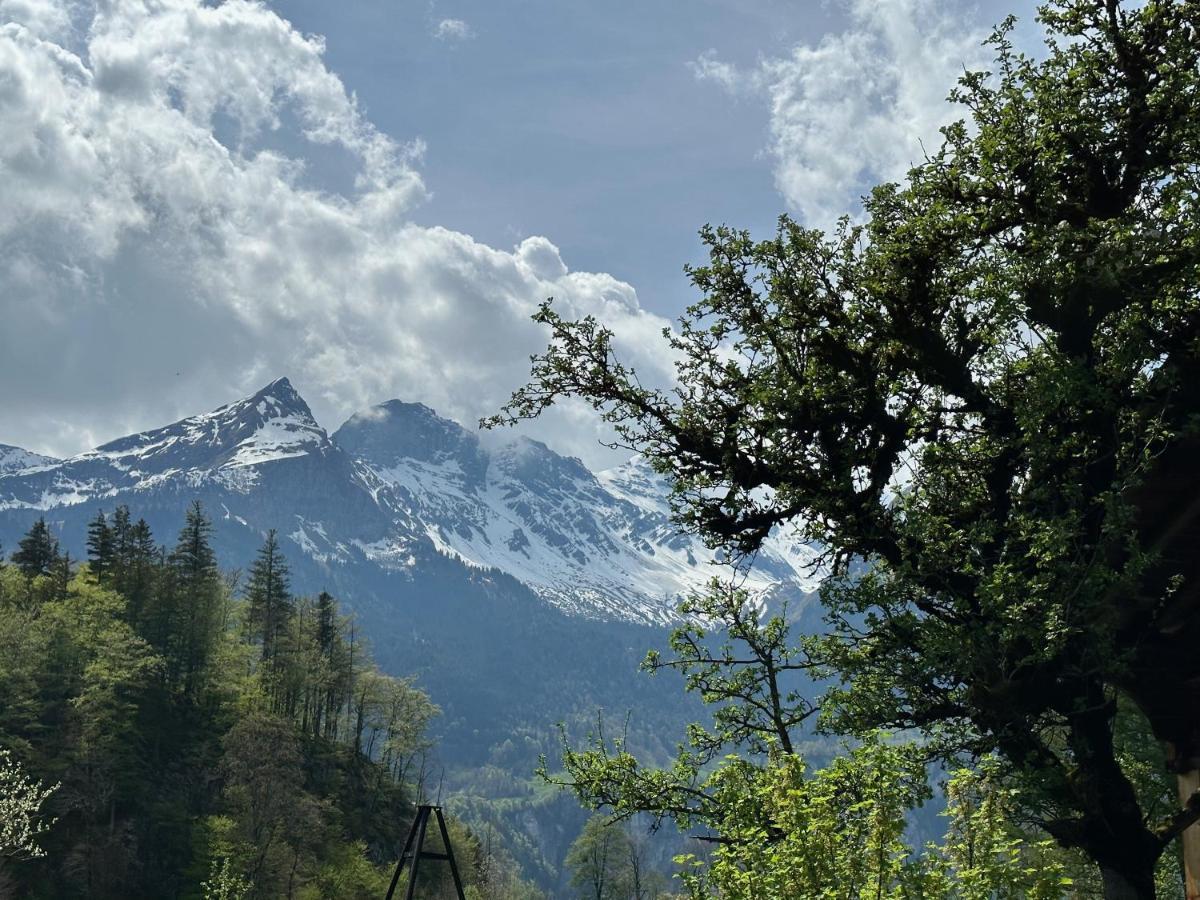 Chalet Bruenig 迈林根 外观 照片