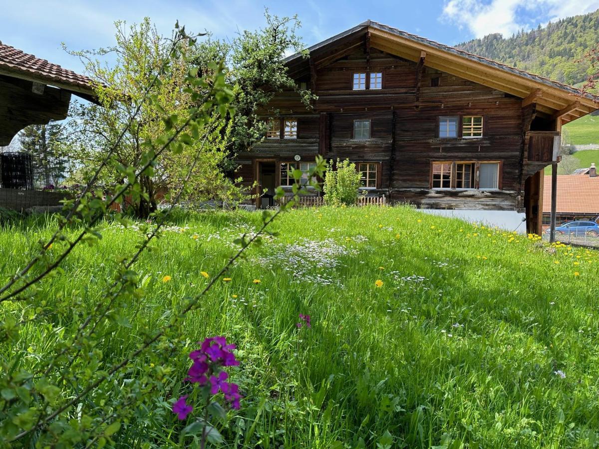 Chalet Bruenig 迈林根 外观 照片