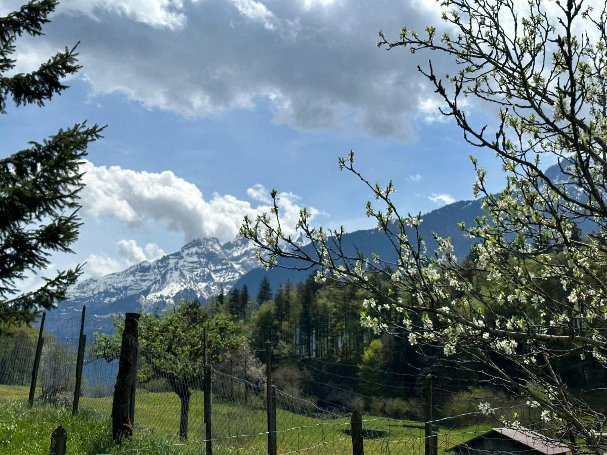 Chalet Bruenig 迈林根 外观 照片