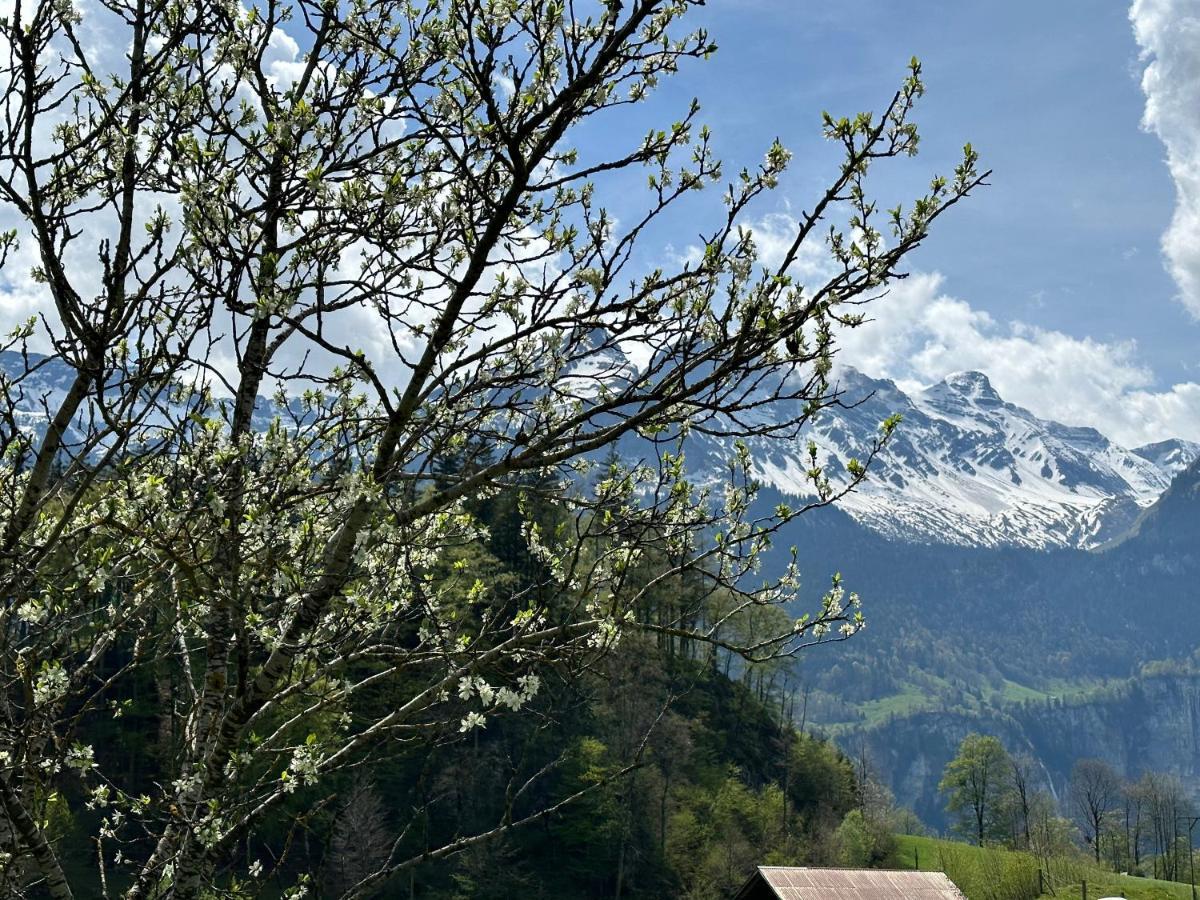 Chalet Bruenig 迈林根 外观 照片