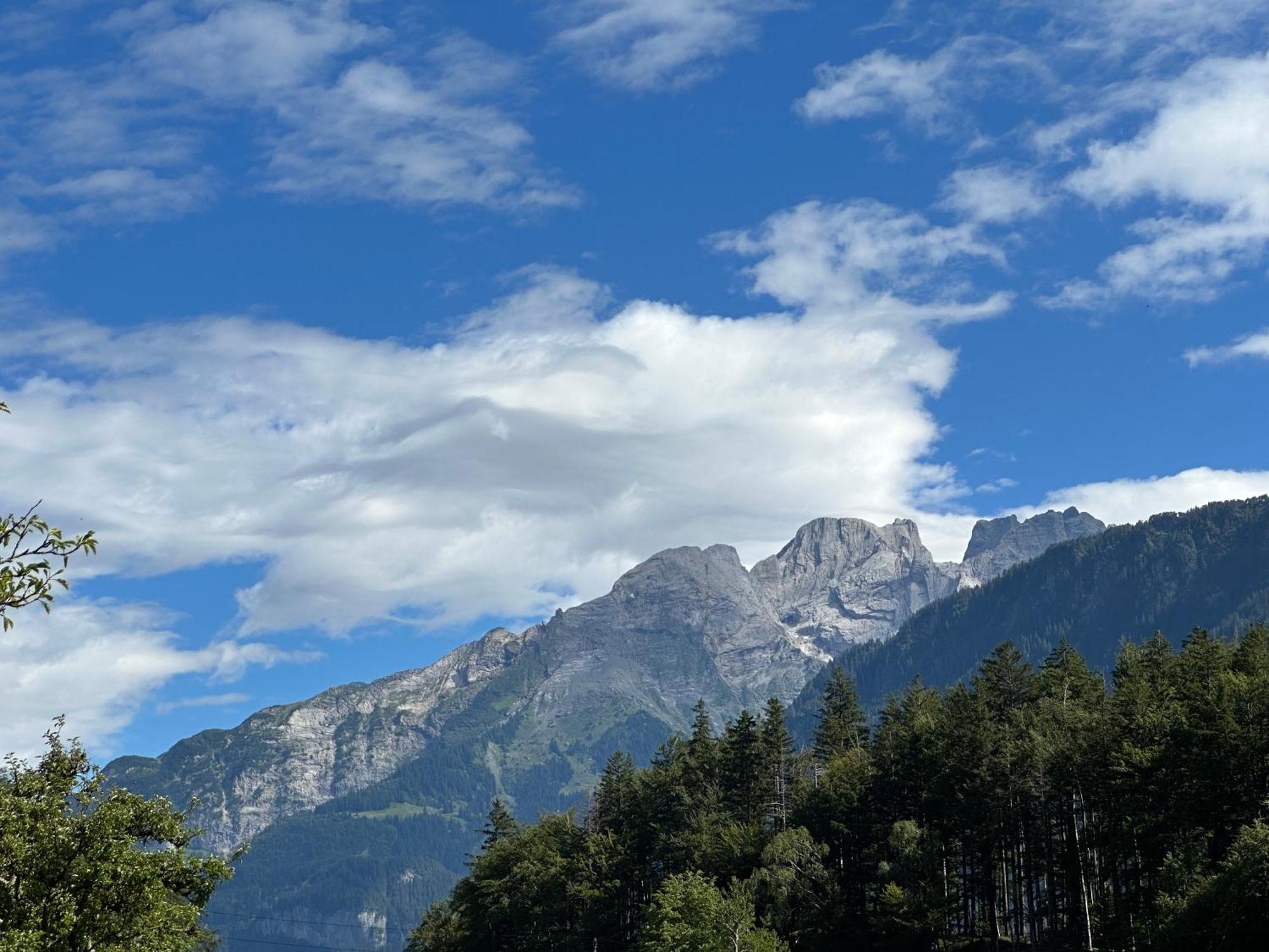 Chalet Bruenig 迈林根 外观 照片